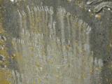 image of grave number 950764